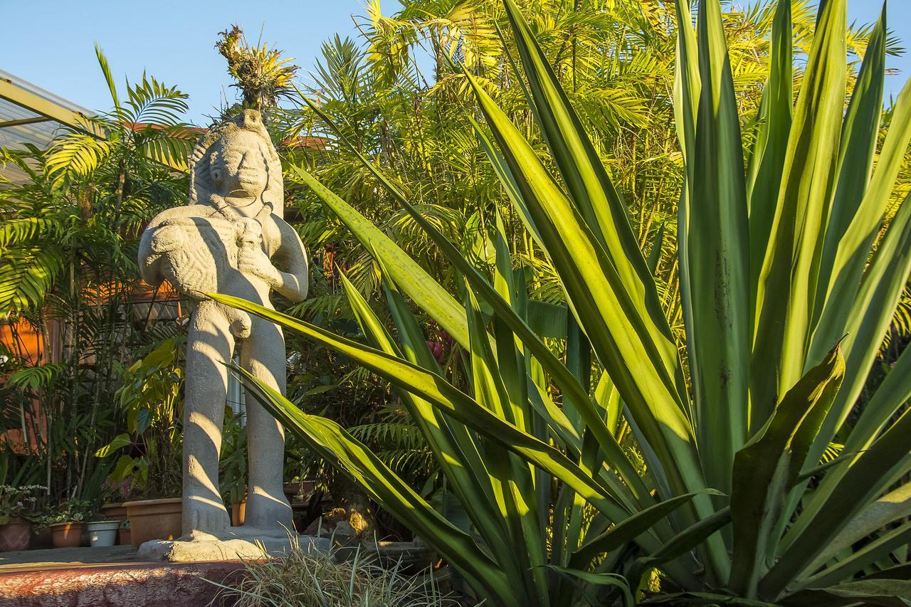 La Boruca Bed & Breakfast San Isidro  Luaran gambar